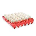 4-Pack Plastic Egg Tray Egg Crate, 30-Egg Flats for Home Chicken Farmers, Stackable & Durable, Great for Storing, Sorting & Shipping, and Reusable (4-Pack Red)