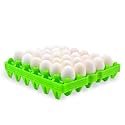 4-Pack Plastic Egg Tray Egg Crate, 30-Egg Flats for Home Chicken Farmers, Stackable &amp; Durable, Great for Storing, Sorting &amp; Shipping, and Reusable (4-Pack Green)