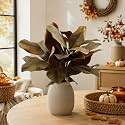 4 Pcs Fall Magnolia Silk Leaves Branches 22 Inch 3D Real Touch Autumn Faux Magnolia Stems Fake Brown Leaves Twigs for Indoor Outdoor Vase Filling Home Wedding Decoration