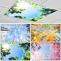 4 Pcs Fluorescent Light Covers for Ceiling Lights Classroom, Stylish Fluorescent Lampshades Classroom Light Covers Magnetic, Modern Ceiling Light Cover for Office, Home, Hospital (Seasons Forest)