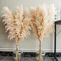 40" inch 10 Stems Natural Pampas Grass Decor Tall, pompas Grass, Tall Pampas Grass for Wedding, Party, Farmhouse, Boho Home Decor