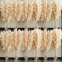 40" inch 60 Stems Natural Pampas Grass Decor Tall, pompas Grass, Tall Pampas Grass for Wedding, Party, Farmhouse, Boho Home Decor