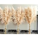 40" Natural Pampas Grass - 16 Stems Tall Boho Decor for Home & Wedding