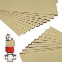 40 Pack Bird Cage Liners, 17 x 11 Inch, Disposable Gravel Paper Sheets