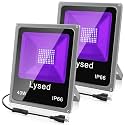 40W Black Lights for Glow Party, Blacklight Flood Light with Plug, IP66 Waterproof LED Black Light for Halloween, Blacklight Party (2 Pack)