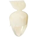 GC America 412114 Polymethylmethacrylate Provisional Crowns, Cuspid Upper Left (+3.6), Pack of 5