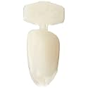 GC America 412118 Polymethylmethacrylate Provisional Crowns, Cuspid Lower Right (3-.3) (Box of 5)