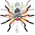 44" Halloween Animatronic Giant Hanging Spider Move Up & Down with Egg Sac