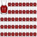 Remagr 48 Pack Wine Carafes Glass Small Single Serving Decanter,6.5 oz