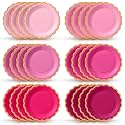 48 Pcs Breast Cancer Awareness Plates 9 Inch Hot Pink Scalloped