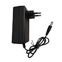 48V Lithium-Ion Battery Charger | Universal AC-DC Adapter for Washer Gun,E-mini Cycle, Toy Car, Router, Power Tool, Head Lamp | Smart Fast Charging | Overload, Overheat & Short Circuit Protection
