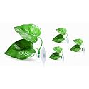 4 Pack Betta Leaf Hammock, Double Leaf Fish Resting Pad with Suction Cups