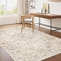 4x5 Beige Neutral Area Rug