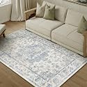 4x5 Blue Neutral Area Rug