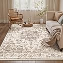 4x6 Brown Neutral Area Rug