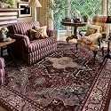 4x6 Burgundy Red and Black Vintage Boho Oriental Soft Washable Area Rug