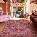 4x6 Magenta Fuchsia Hot Pink Vintage Boho Oriental Soft Washable Area Rug