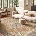 4x6 Terracotta Rust Earth Tone Vintage Boho Oriental Soft Washable Area Rug