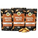 5:15PM Jumbo Brazil Nuts 100Gm | Handpicked & Exotic Brazil Nuts| Rich In Selenium And Magnesium| Raw Unsalted 100% Natural Whole Brazil Nuts -100G (Pack of 3)