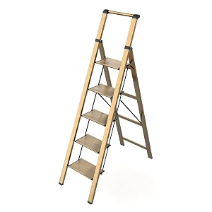 5 Step Ladder with HandrailChampagne Gold