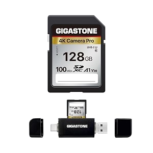5-Yrs Free Data Recovery GIGASTONE 128GB SD