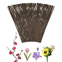 50 PCS FIVEIZERO 16 Gauge Brown Floral Wire Stems for Artificial Flower Making,Florist Wire,Flower Wires for Crafts,Alambre para Flores for Wreaths, Flower Arrangements and DIY Projects