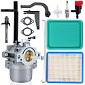 591378 Carburetor Compatible With Troy Bilt 5550 Coleman Powermate 6250 Watt Generator Parts 796321 696132 696133 796322 699966 699958 Carb Kit