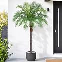 5ft Artificial Phoenix Palm Tree, Faux Coconut Silk Tropical Fake Palm Plant for Indoor Outdoor Home Office Patio Bathroom Pool Coastal Decor