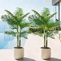 5ft Tall Triple Golden Cane Palm, Artificial Palm Tree Large Tropical Faux Palm Trees UV Resistant, Indoor & Outdoor Fake Plant for Living Room, Outside Patio, Office Home Decor
