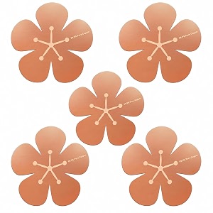 5Pcs Bird Bath Copper Disk 99.99 Pure