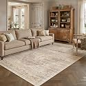 5x7 Beige Farmhouse Area Rug