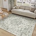 5x7 Green Neutral Area Rug