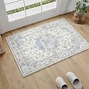 2x3 Blue Neutral Area Rug