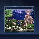 LAQUAL 6.5 Gallon Ultra Clear Glass Fish Tank, Rimless Low Iron Aquarium for Betta/Nano/Goldfish/Snail/Shrimp, Fish Tank &amp; Cover Set &amp; Feeding Ring &amp; Cleaning Tools