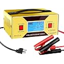 6/8/12/14/16/24V Battery Charger 8 Volt Golf Cart Battery Charger