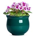 6 Inch Self Watering Plant Pots, Ceramic African Violet Pot with Absorbent Inner Pot, Easy Self Watering Pots for Indoor Plants, Ceramic Planter, Room Decor, Plant Lover Gifts, Blackish Green