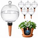 6 Pack 26 oz Extra Large Plant Self Watering Globes to 3 Weeks Watering