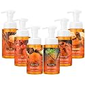 6 Pack Fall Foaming Hand Soap, Autumn Scents 8.75 fl oz