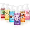 6 Pack Foaming Hand Soap with Pump, Summer Scented, 8.75 fl oz