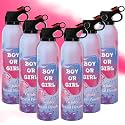 6 Pack Pink Gender Reveal Smoke Bombs