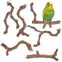 6-Piece Premium Bird Perch Stand with Natural Grape Wood Branch, Paw Grinding Fork, Chewing Stick, Cage Accessories for Parakeets, Budgies, Cockatiels, Finches, Lovebirds
