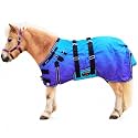 CHALLENGER 1200D Foal Winter Blanket Miniature Pony Donkey Bellyband Turquoise Rustic