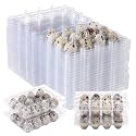 60 Pcs Quail Egg Cartons, Cheap Bulk Plastic Square Dozen Egg Carton