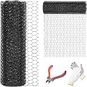 60 x 100 Black Chicken Wire Mesh