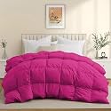 600 GSM Heavy Winter Comforter Double Bed Size (90"X100") - 600 GSM Microfiber Super Soft Fluffy for Winter Comforter/Rajai/Duvet/Blanket Double Bed - Hot Pink Color