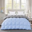 600 GSM Heavy Winter Comforter King Size (90"X106") - 600 GSM Microfiber Super Soft Fluffy for Winter Comforter/Rajai/Duvet/Blanket King Size - Sky Blue/Silver Grey Color
