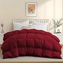 600 GSM Heavy Winter Comforter Single Size (60"X90") - 600 GSM Microfiber Super Soft Fluffy for Winter Comforter/Rajai/Duvet/Blanket Single Size - Burgundy Color