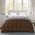 600 GSM Heavy Winter Comforter Single Size (60"X90") - 600 GSM Microfiber Super Soft Fluffy for Winter Comforter/Rajai/Duvet/Blanket Single Size - Chocolate Brown/Silver Grey Color