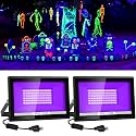 60W Black Lights, 2 Pack LED Blacklight Flood Light with Plug, IP66 Waterproof Black Lights for Glow Party, Stage Lighting, Body Paint, Fluorescent Poster, Neon Glow