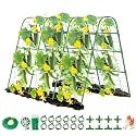 63" Tall Cucumber Trellis for Raised Garden Bed U-Frame Arch Tunnel Trellis Metal Tomato Cage Plant Support Stand for Peas,Bean,Grapes,Flowers,Vines Climbing Plants Outdoor